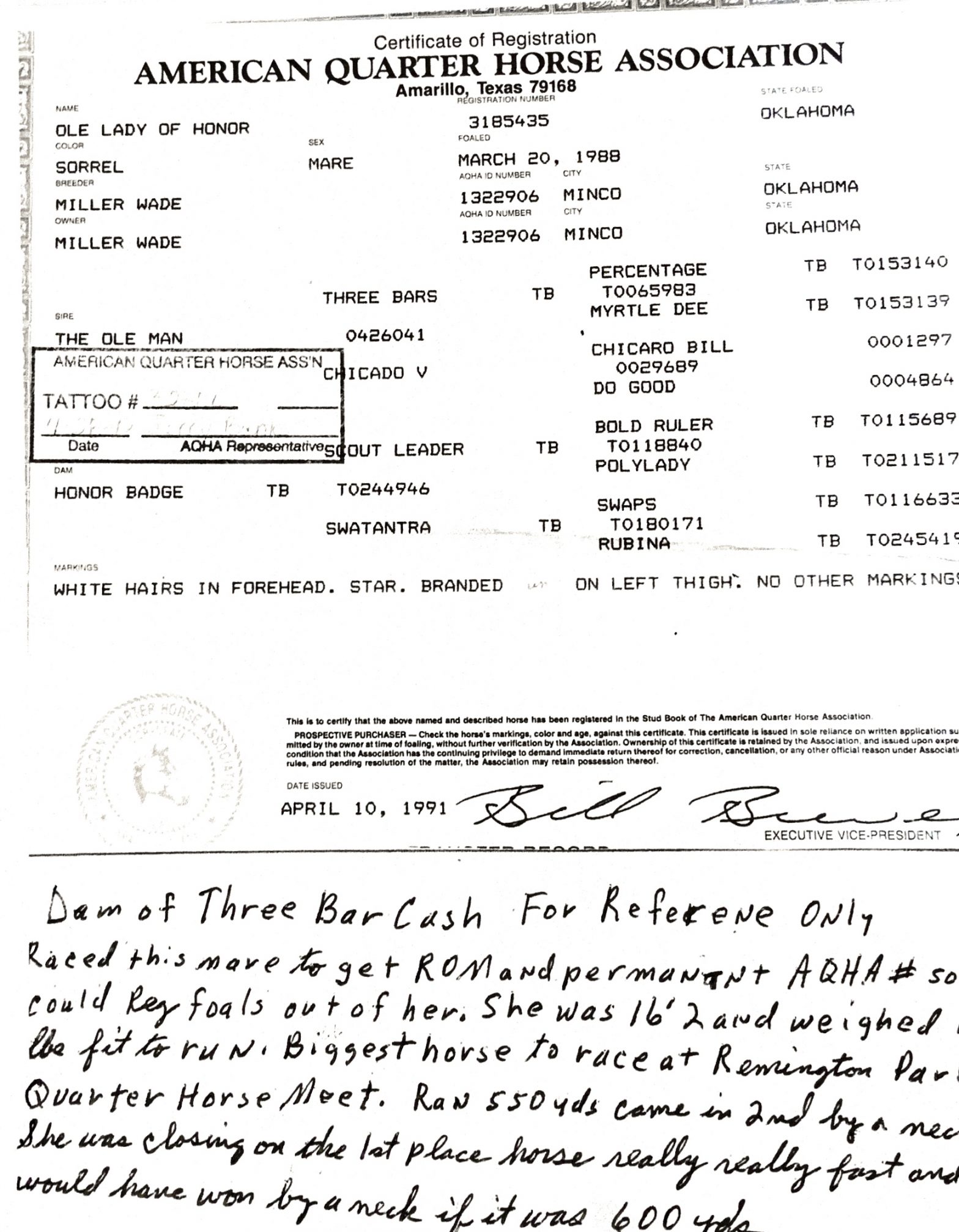 Bloodline Papers Wade Miller’s Quarter Horses