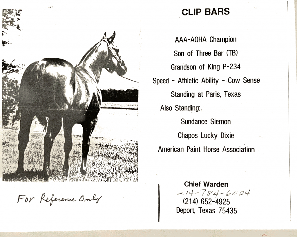 Bloodline Papers – Quarter Horses