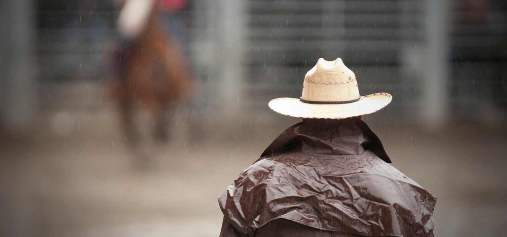 Wade Miller Quarterhorses
